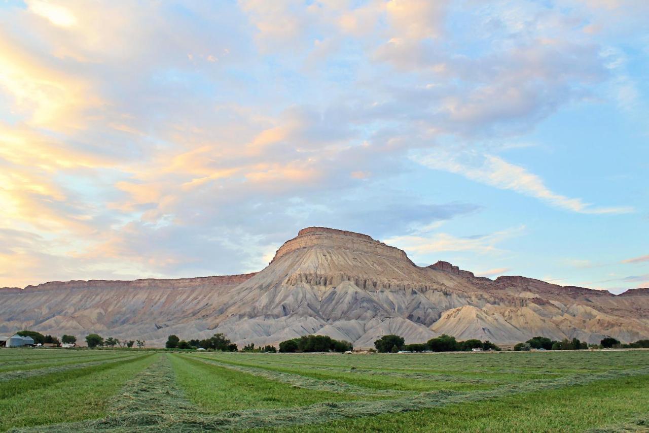 Holiday Inn Express Hotel & Suites Grand Junction By Ihg Extérieur photo
